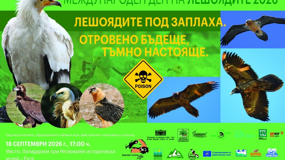 Русенският музей отбелязва Международния ден на лешоядите